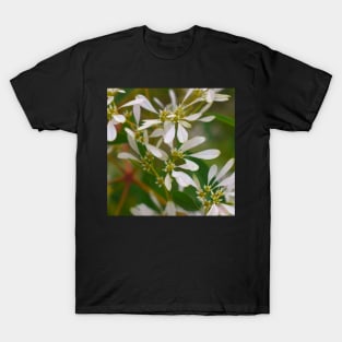 Whimsical Wildflowers T-Shirt